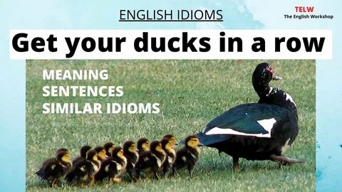 Get ducks