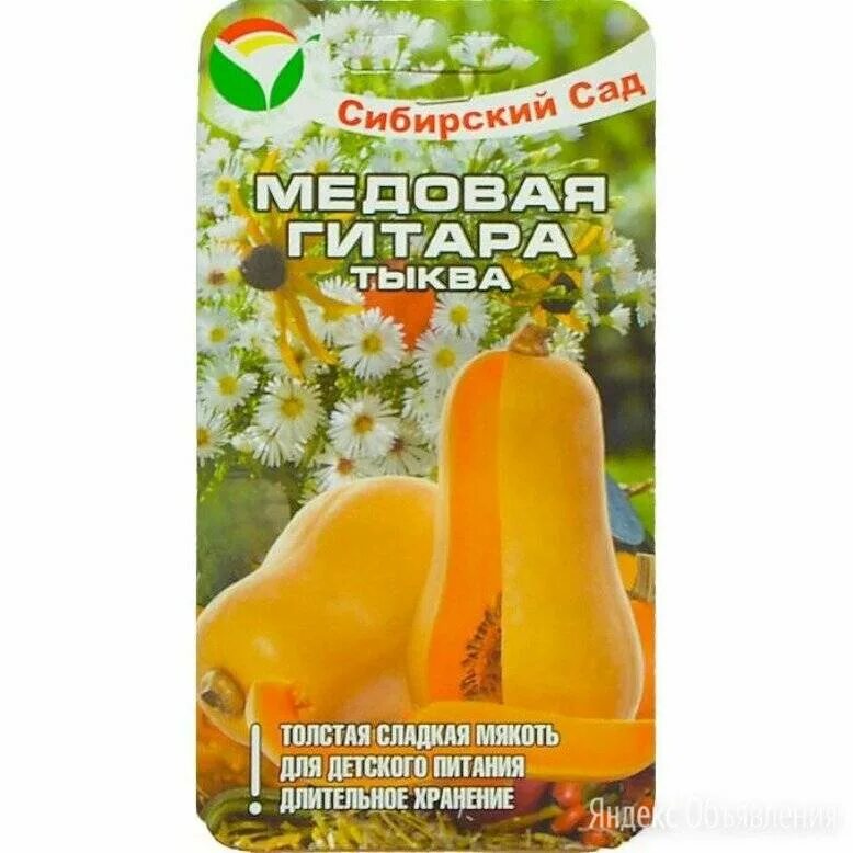 Тыква гитара описание. Тыква гитара семена аэлита. Медовая гитара 5шт тыква (сиб сад). Тыква мускатная аэлита. Тыква гитара мускатная.