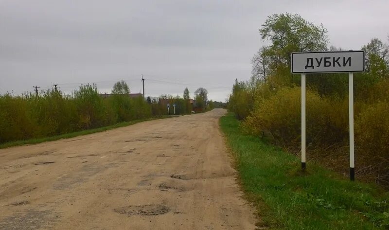 Поселок дубки ярославская область. Деревня Дубки. Дубки населенный пункт. Пос Дубки Ярославская область. Поселок Дубки Костромская область.