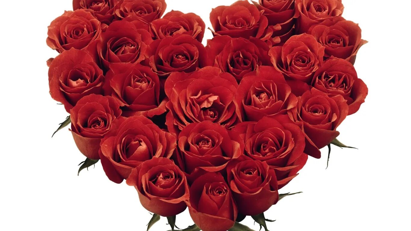 Открытки розы любимым. Розы для тебя. Эти розы для тебя. Букет роз для тебя.