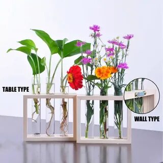 Tube plant