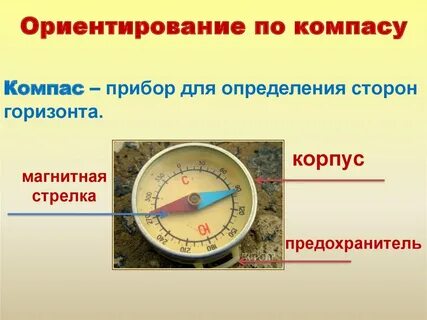 Ориентирование на местности это