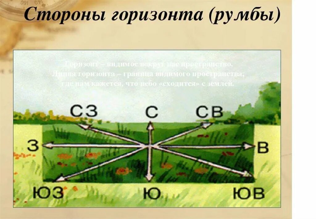 Какая сторона горизонта показана. Стороны горизонта на карте. Направление сторон горизонта. Макет стороны горизонта. Основные стороны горизонта 2 класс.