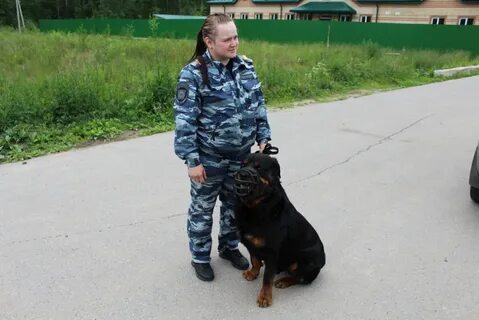 Кинолог нижний новгород