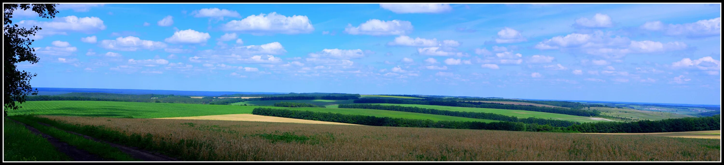 Просторами україни. Украинские просторы. Природа восточной украины. Фото. Просторами україни.