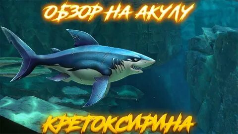 Говорящая акула