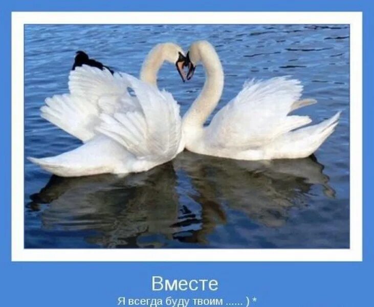 Открытки любимому человеку. Открытка всегда вместе. Открытка вместе навсегда. Мы будем вместе. Мы всегда будем вместе картинки.