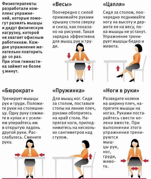 Кот стал. Упражнения для похудения живота сидя на стуле. Сидит ничего не делает. Скручивания сидя на стуле. Упражнения сидя на стуле.