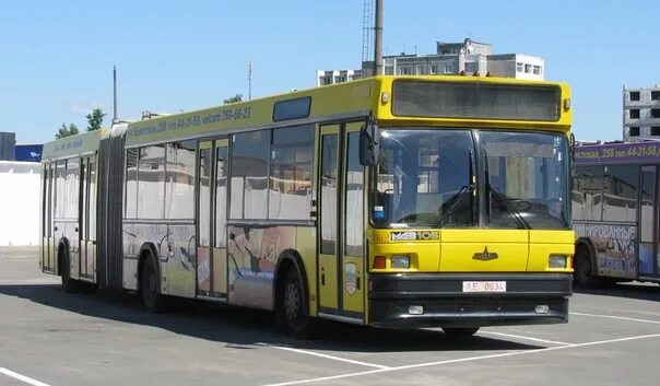 Автобус Барановичи. Автобус Скания Пригородный. Автобусы Барановичи с рекламами. Фото водителей пригородных автобусов 114. Пригородные автобусы минск