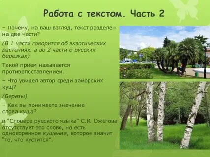 Бродил и бродил я по приморскому парку
