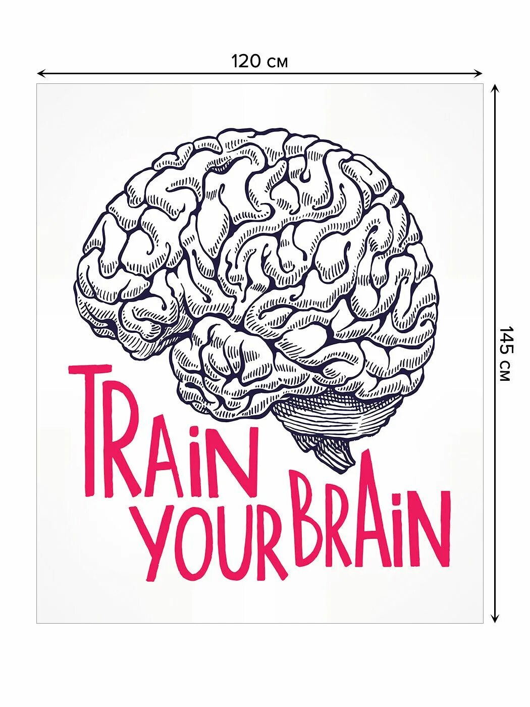 Brain 120. Прокачай мозг. Мозги арт. Мозг подписанный. Nsp120 мозги.
