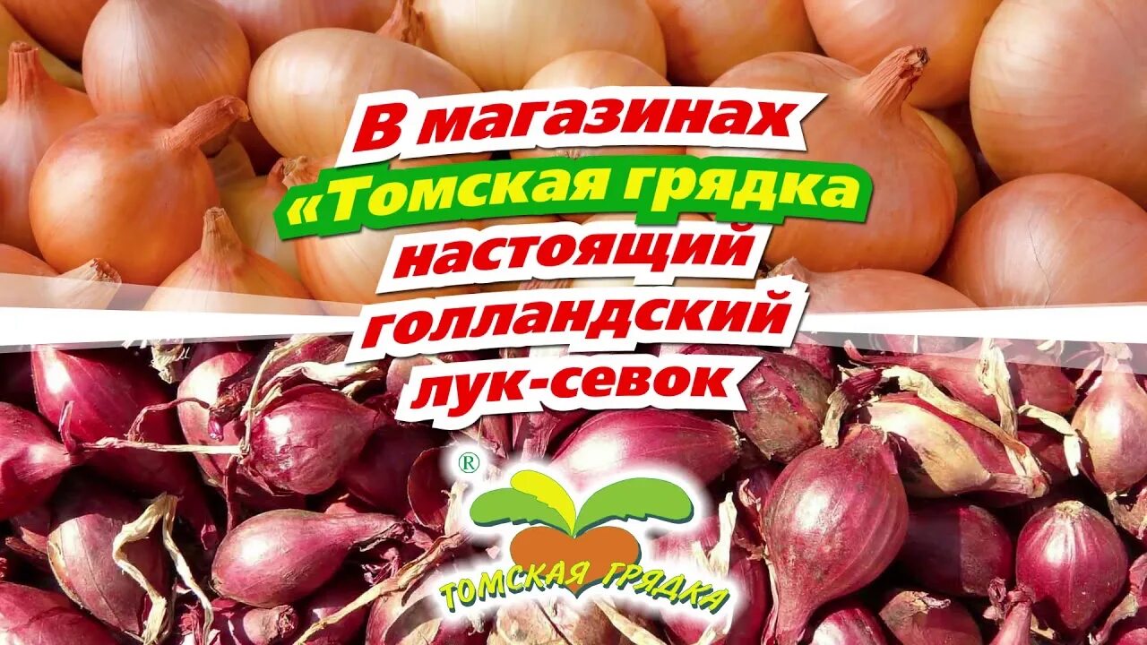 Купить семена в томске. Томская грядка. Семена Томск. Магазин семена Томск. Томская грядка Томск.