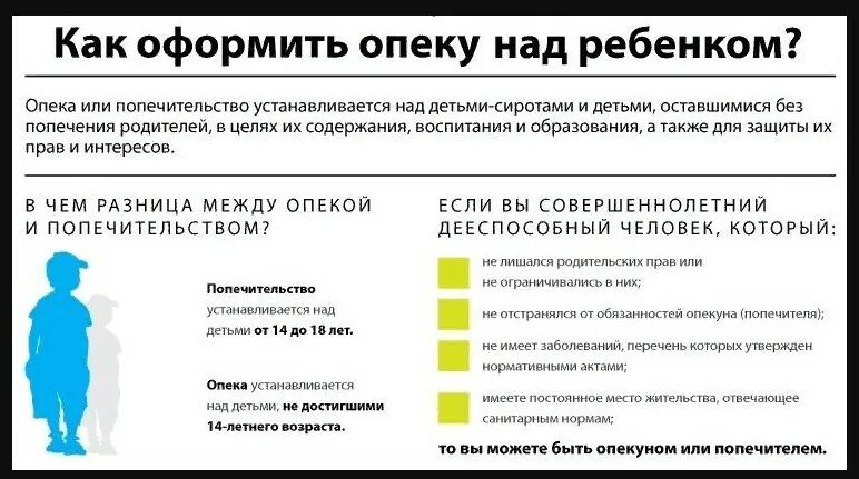 Может ли опекун оформить