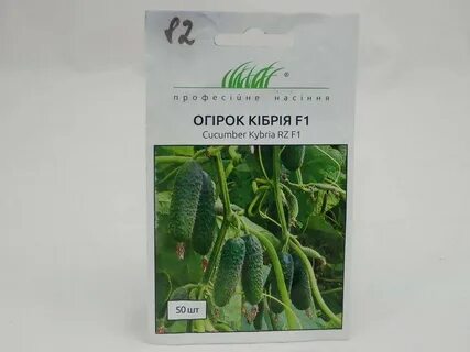 Кибрия огурец описание