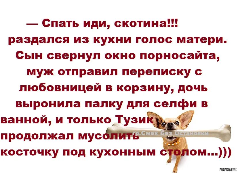 Спать иди скотина. Иди спать скотина анекдот. Спать иди скотина раздался. Раздаются голоса. Послышался голос мамы