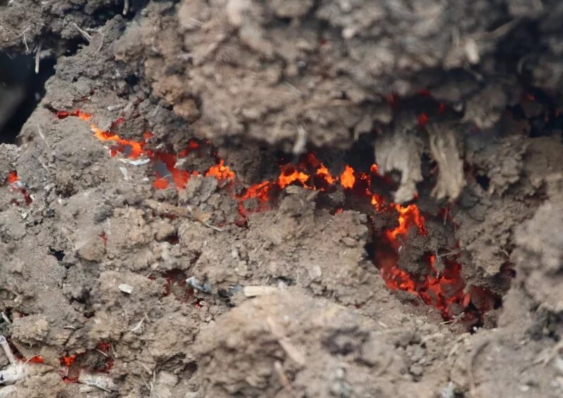 Горение гарь. Подземный торфяной Лесной пожар. Почвенный Лесной пожар торфяной. Торфяные пожары многоочаговые. Горение торфяников.