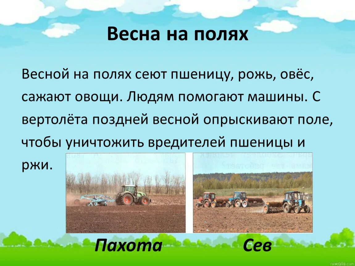 Посеить или посеять. Весенние работы. Весенние работы окружающий мир. Труд людей весной в поле. Посевные работы на полях.