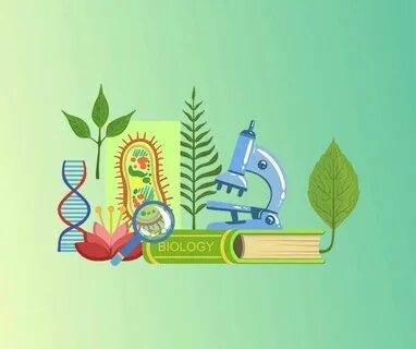 Картинки учитель биологии
