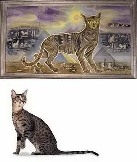 Египетские сны