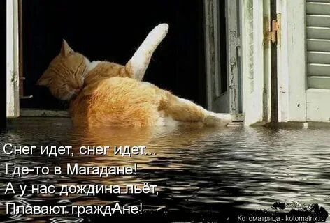 На плохое не смотришь