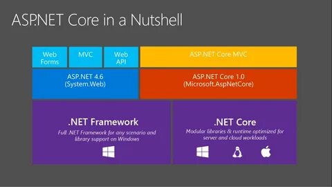 Asp net input
