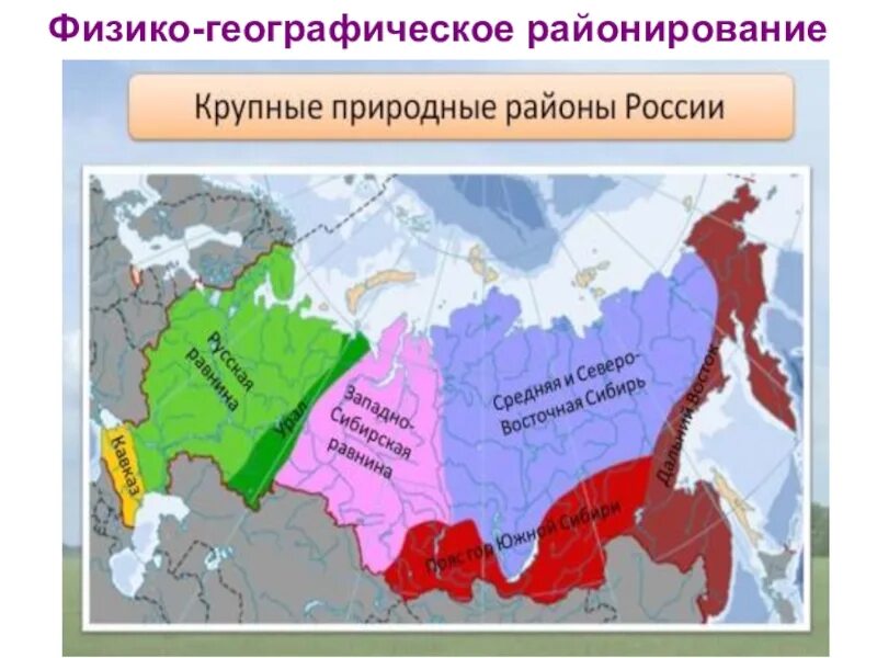 Физико географические районы России и ПТК. Физико-географическое районирование. Районирование России. Физико-географические районы России карта.