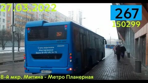 Маршрут 267 спб