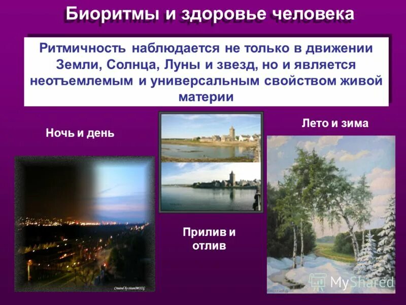 Что является примером такого свойства как ритмичность. Биоритмы и здоровье человека. биологические ритмы и здоровье. свойства живых организмов ритмичность. биоритмы презентация.