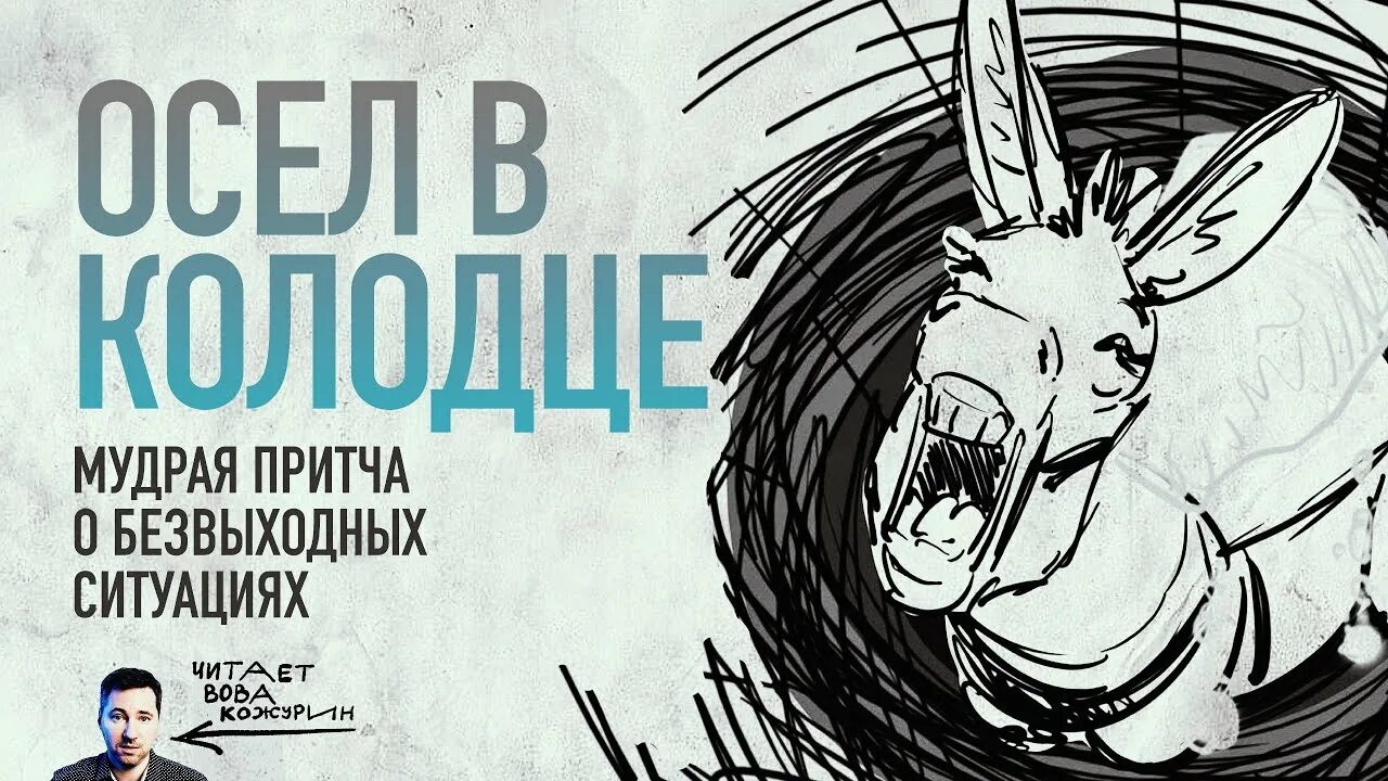 Притча об осле. Притча про ослика в колодце. осел в колодце. притча про осла и колодец. притча про ослика.