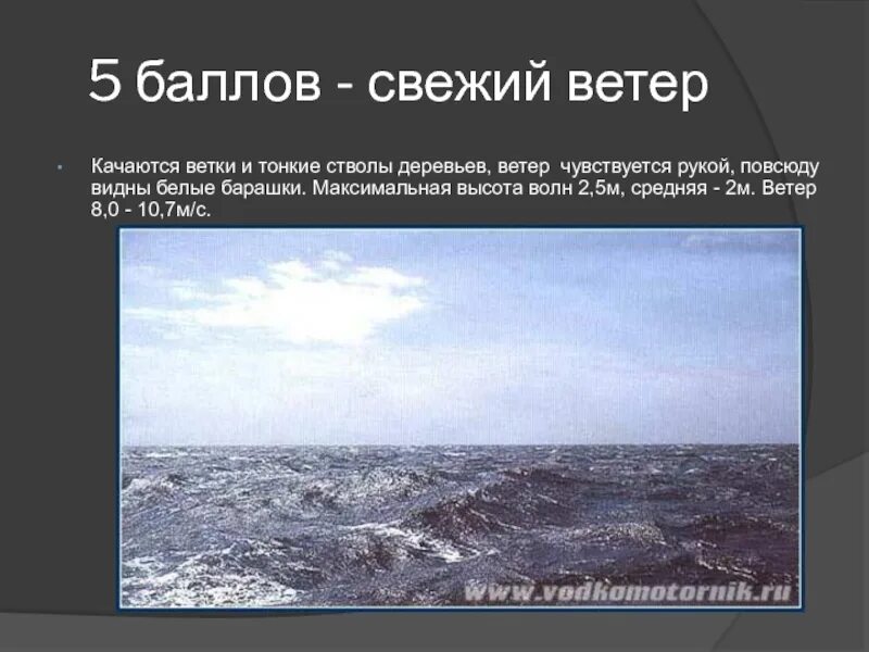 Ветер 8 метров. Шторм 5 баллов высота волны. 5 Баллов море. Шторм 11 баллов высота волны. Высота волн в шторм.