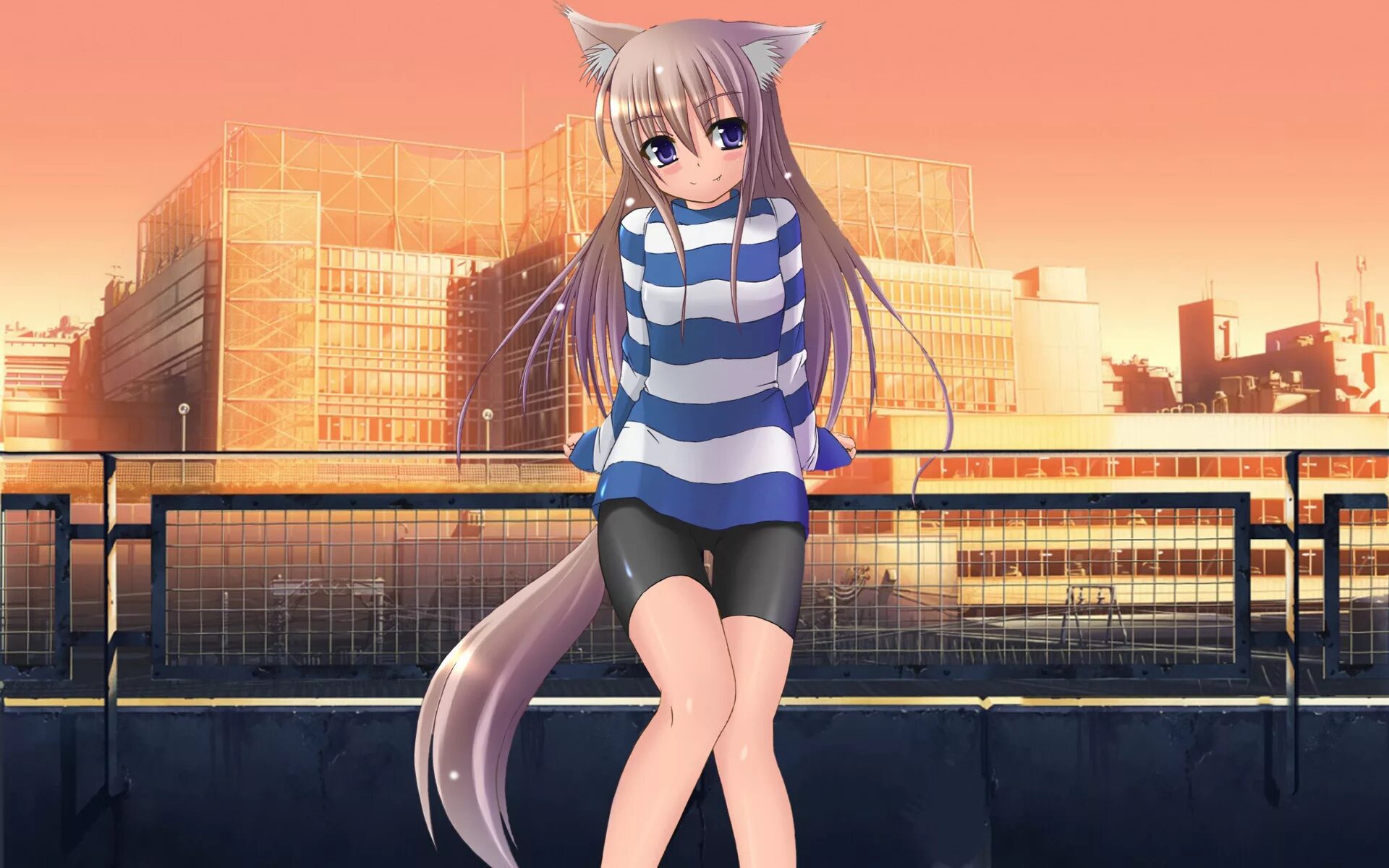 Ан мм