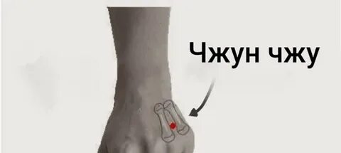 Сигна чжуна
