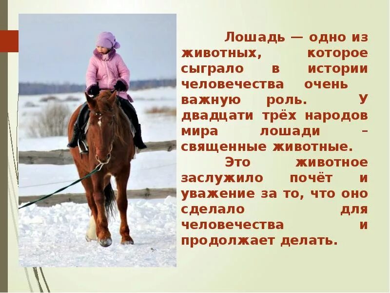 Лошади повествование