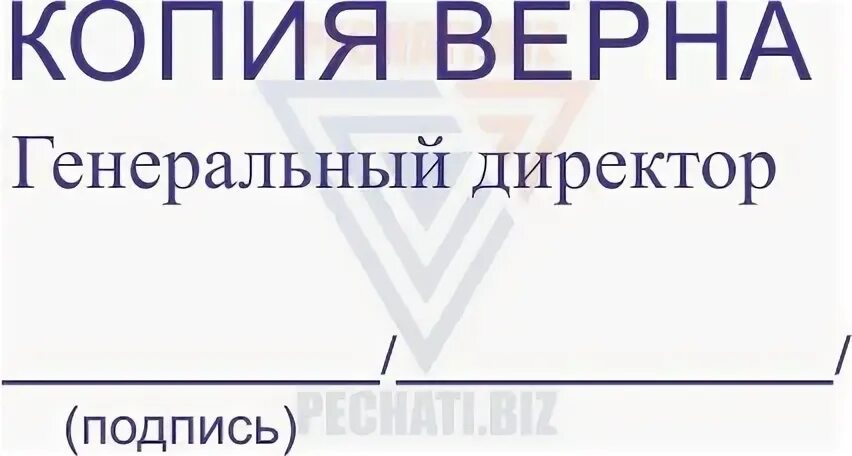 Директору копия