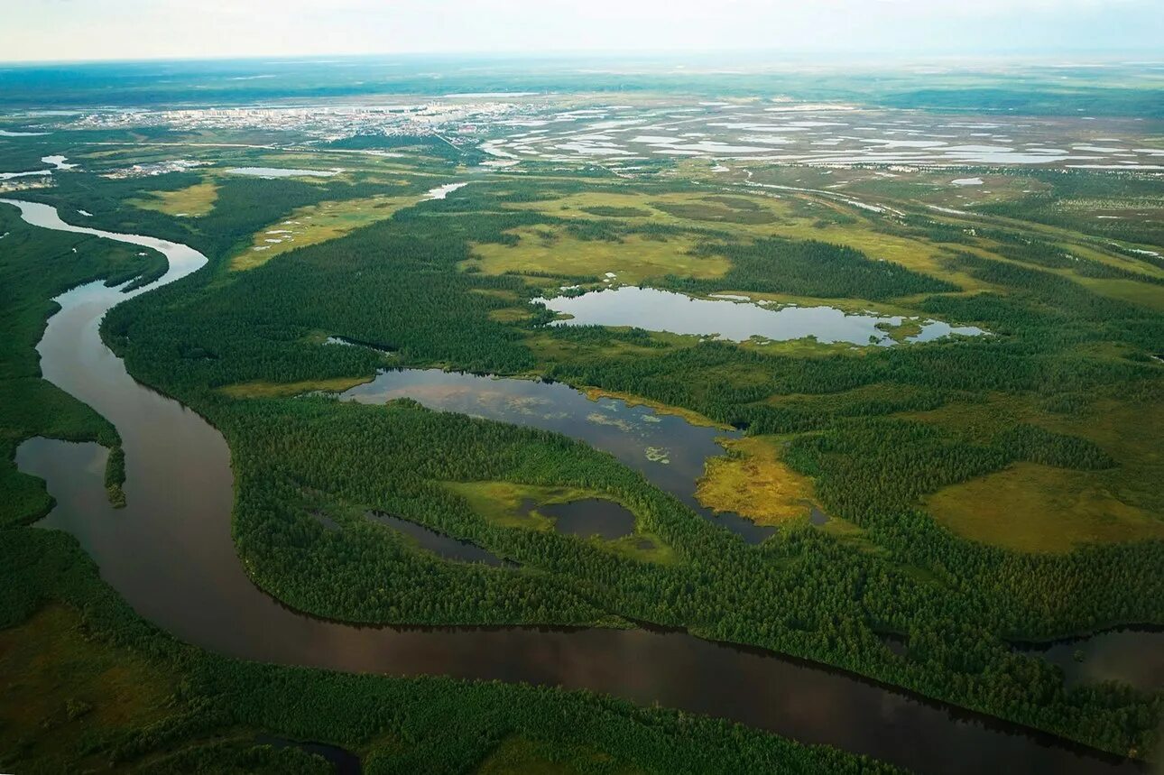 Ямалоненейкий автономный округ природа. Югра ямало ненецкий. Тайга хмао. Ямало-ненецкий автономный округ заполярье. Ямало-ненецкий автономный округ.