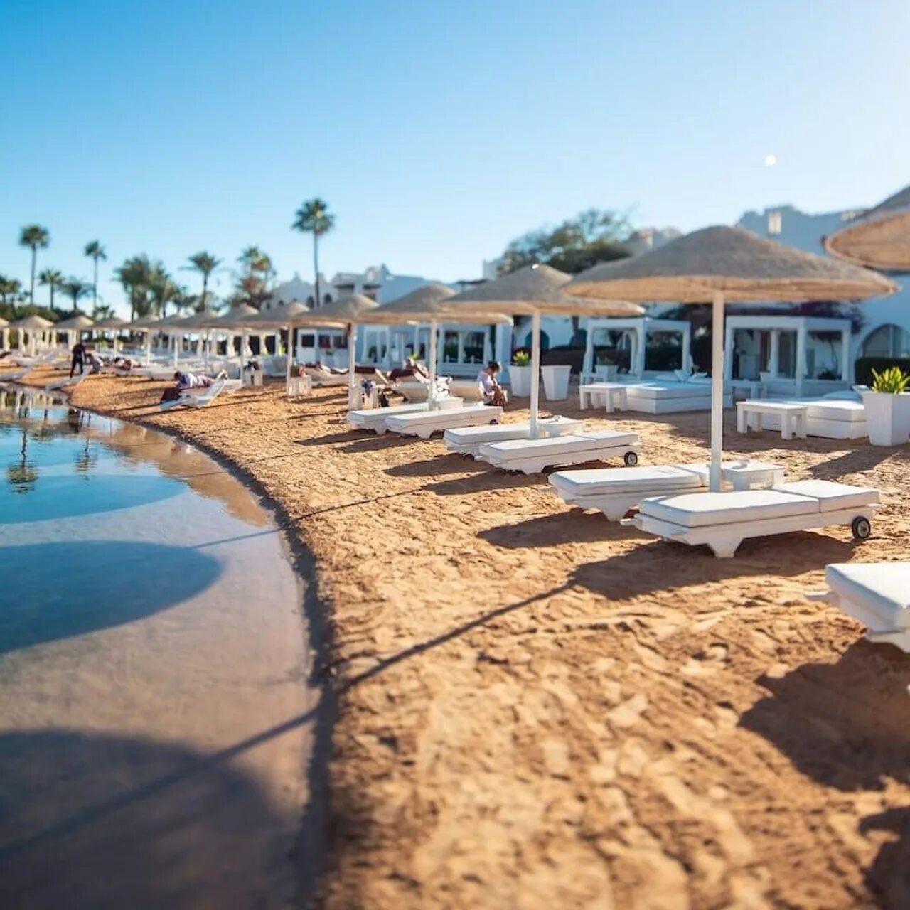 Отель domina Coral Bay Oasis 5. Domina Coral Bay Aquamarine Pool 5 Египет. Аквамарин отель domina Coral Bay. Отель domina Coral Bay Aquamarine Beach Sharm el Sheikh 5. Гарем шарм