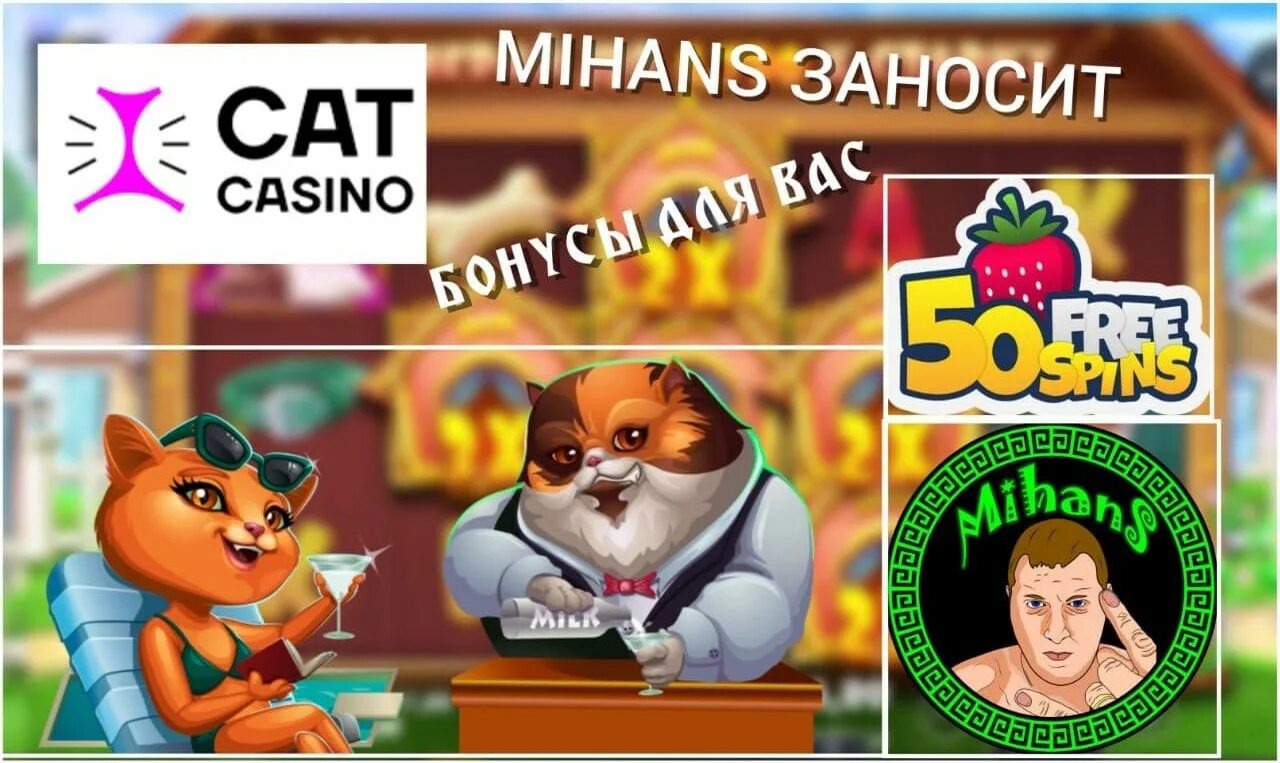 Cat casino cat casino ihr buzz. Кэт казино. Cat Casino бонус. Cat Casino зеркало. Casino зарегистрироваться Cat Casino.
