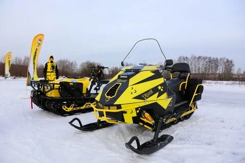 Снегоход торос