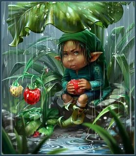 Gnomes and fairies marco cutini