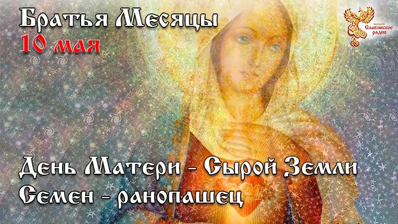 Песня там сырая земля