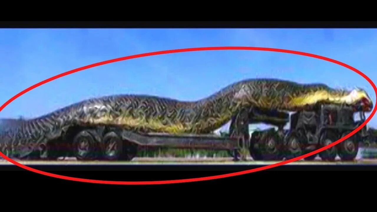 Как выглядит самая огромная змея COBRAS ENCONTRADAS EM CASAS NO BRASIL YouTube