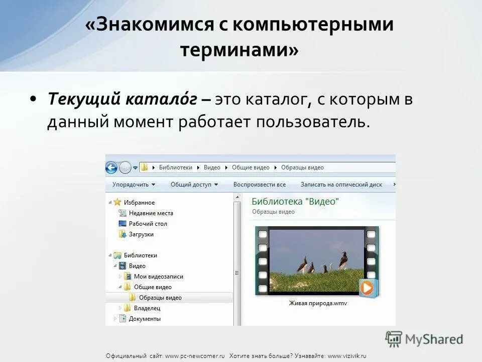 Alpha bi отчеты. Структура общих папок в организации. Где в данный момент работает. Месторасположение по номеру телефона. Файловая система дерево папок.