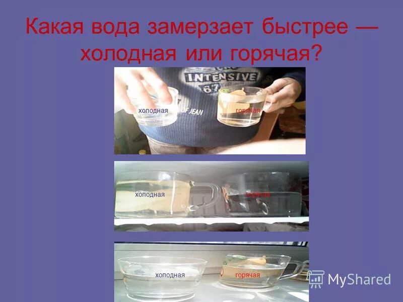 Вода сжимается при охлаждении. Какая вода замерзает быстрее. Какая вода замораживается быстрее горячая или холодная. Эффект мпембы. Горячая вода замерзает быстрее.