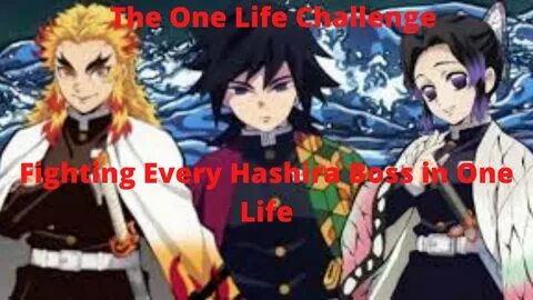 Demon slayer characters