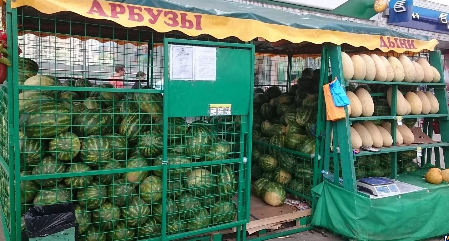 Арбузами продается. Кагальник бахчевой развал. палатка с арбузами. прилавок с арбузами. арбузный рынок.