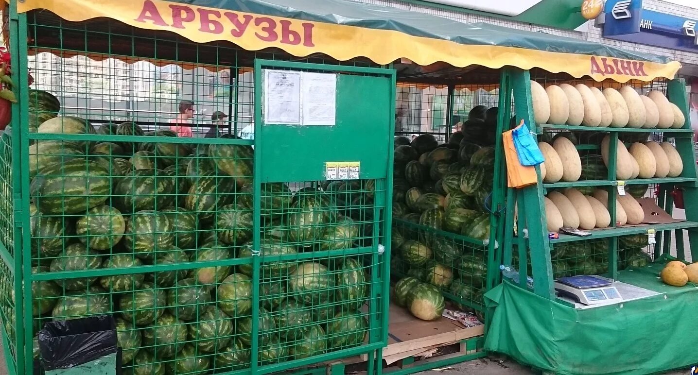 Арбуз купить рынок. Кагальник бахчевой развал. Палатка с арбузами. Прилавок арбузов. Прилавок с арбузами.