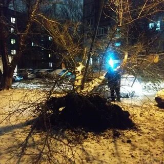 В ростове на 5 дней