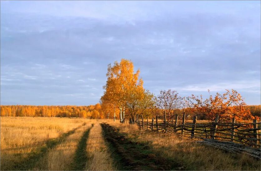 Блок золотистою долиной. Волнуется желтеющая Нива Лермонтов. Желтеющая Нива Лермонто. Лермонтов "когда волнуется желтеющая Нива..." (1837 Г.). Стихотворение Лермонтова желтеющая Нива.