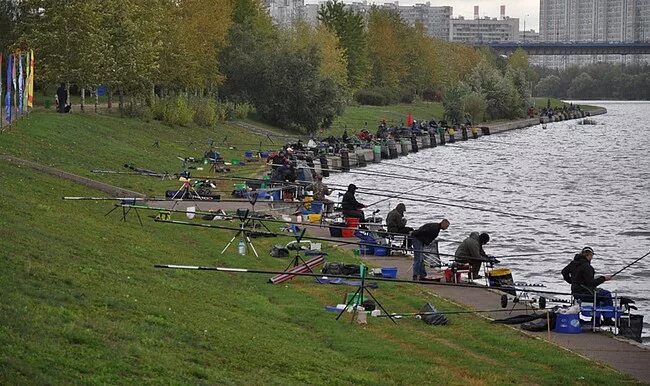 Река в турнире. Парк Братеево рыбалка. Братеево Москва река. Фидерные соревнования. Рыболовные соревнования в Братеево.