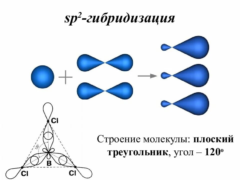Сп2 гибридизация молекула. Сп2 гибридизация строение молекулу. Sp2 гибридизация молекулы углерода. Sp2 гибридизация форма молекул плоская.